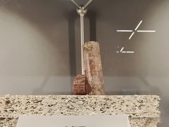 -上海科技馆(地铁站)