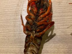 -星伦多 自助料理(圆融店)