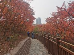 -南翠屏公园