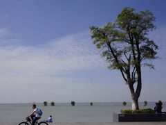 -滆湖低碳生态公园