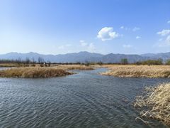 -野鸭湖国家湿地公园