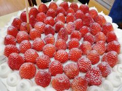 -5Cake五度无蔗糖低脂蛋糕(陶然亭店)