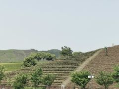 -帐篷客·溪龙茶谷度假酒店