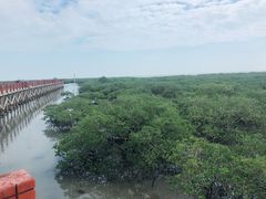 -北海金海湾红树林生态旅游区