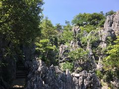 -千岛湖石林