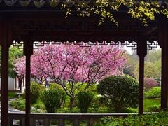 -江宁织造博物馆