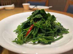 凉拌丝瓜尖-映庐·江西菜(北航店)