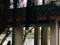 -南宁南湖公园