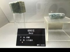 -甘肃地质博物馆