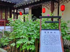 -上海醉白池公园
