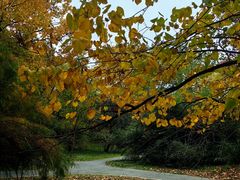 -国家植物园南园