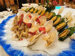 -宛平九号