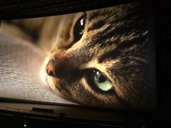 -天幕新彩云国际影城(激光巨幕店)