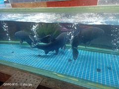 -常和州·夜宵大排档(常州单店)