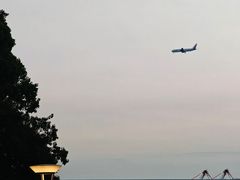 -台场海滨公园船码头