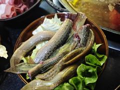 -谭记重庆老火锅(总店)