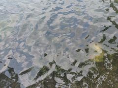 -西北湖绿化广场