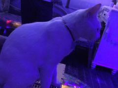 -星宿秘码(鼓浪屿老店)