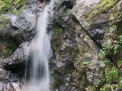 -东天目山风景区