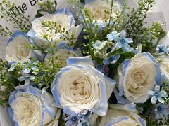 -植物学家的女儿(北马道巷店)