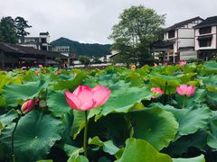 -云中大漈