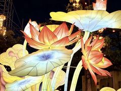 -厦门园林博览苑