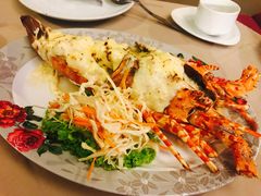 -Red Lobster
