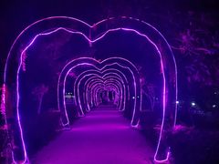 -汕头莲花山度假村温泉