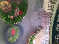 -芸山季·云南山珍菌火锅(人民广场来福士店)