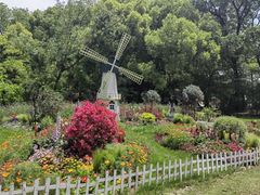 -上海共青森林公园