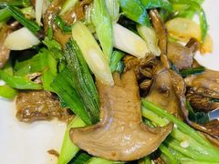 -老号尤兔头(幸福店)