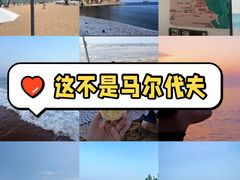 -日照海滨国家森林公园