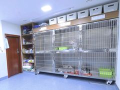 -泰洋动物医院·神经专科·磁共振·CT(天河公园总院)