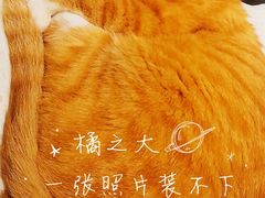 -小时光咖啡馆(开森度假森林店)
