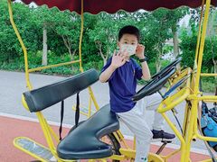 -上海长兴岛郊野公园