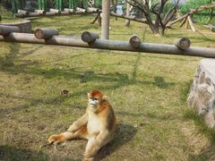 -西安秦岭野生动物园