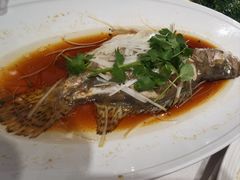 清蒸桂鱼-品悦酒店(三林古镇店)