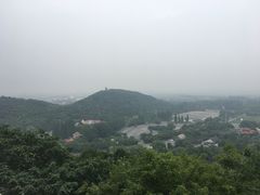 -上海佘山国家森林公园西佘山园