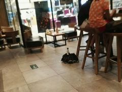 大堂-星巴克臻选(舟山凯虹广场店)