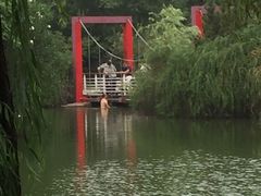 -天鹅湖体育公园