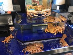 -蟹道乐(道顿堀本店)