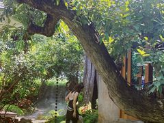 -Chom Cafe and Restaurant