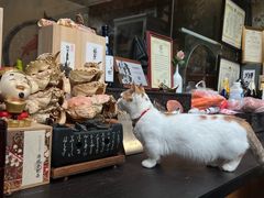 -谷咖啡·鲜花绿植花园餐厅