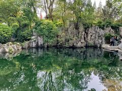 -趵突泉景区
