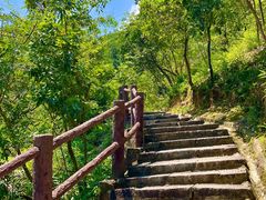 -广州白江湖森林公园