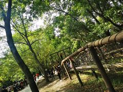 -溱湖国家湿地公园