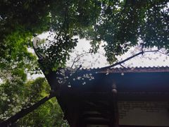 -望江楼公园
