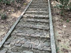 -上海佘山国家森林公园天马山园