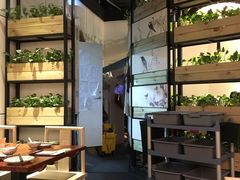 -潮堂 · 潮州菜(恒隆广场店)
