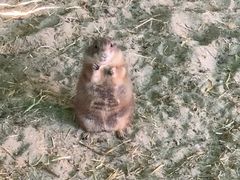 -杭州野生动物世界